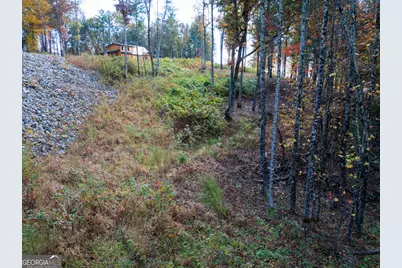 0 Ridge Road, Morganton, GA 30560 - Photo 42