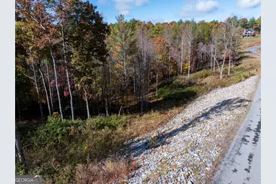 0 Ridge Road, Morganton, GA 30560 - Photo 40