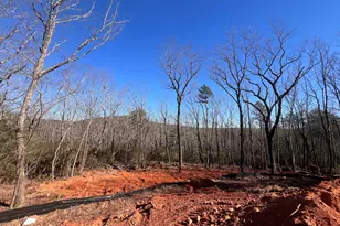 194 Pinecrest Rd, Clarkesville, GA 30523 - Photo 4