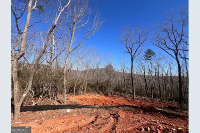 194 Pinecrest Road, Clarkesville, GA 30523 - Photo 4