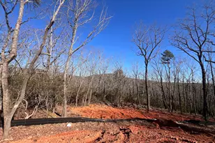 194 Pinecrest Rd, Clarkesville, GA 30523 - Photo 4