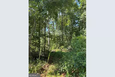 0 Fears Road, Madison, GA 30650 - Photo 12