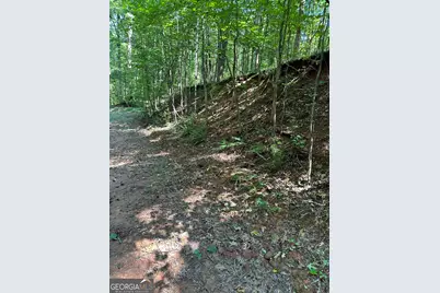 0 Fears Road, Madison, GA 30650 - Photo 18