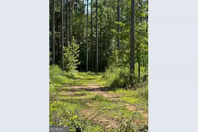 0 Fears Road, Madison, GA 30650 - Photo 30