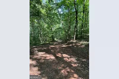 0 Fears Road, Madison, GA 30650 - Photo 16