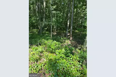 0 Fears Road, Madison, GA 30650 - Photo 14