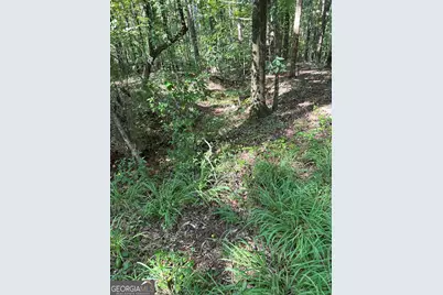 0 Fears Road, Madison, GA 30650 - Photo 6