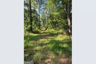 0 Fears Road, Madison, GA 30650 - Photo 4