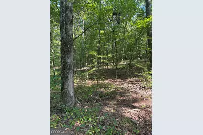 0 Fears Road, Madison, GA 30650 - Photo 14