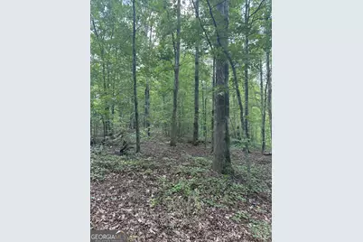 0 Fears Road, Madison, GA 30650 - Photo 2