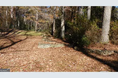 809 Laurel Street, Bremen, GA 30110 - Photo 38