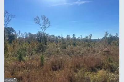 0 Jd Williams Road, Cadwell, GA 31009 - Photo 6