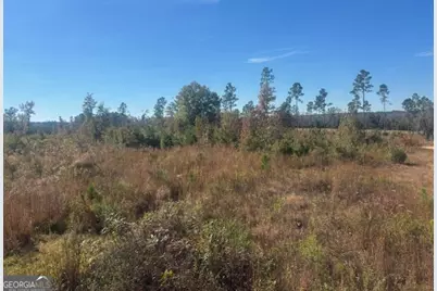 0 Jd Williams Road, Cadwell, GA 31009 - Photo 8