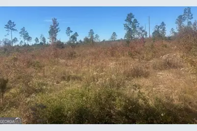 0 Jd Williams Road, Cadwell, GA 31009 - Photo 12
