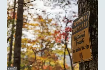 1994 Camp Creek Road, Lakemont, GA 30552 - Photo 8