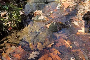 1994 Camp Creek Rd, Lakemont, GA 30552 - Photo 10