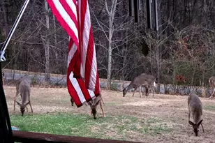 1994 Camp Creek Rd, Lakemont, GA 30552 - Photo 6