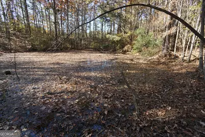 4621 Highway 34 W, Newnan, GA 30263 - Photo 46