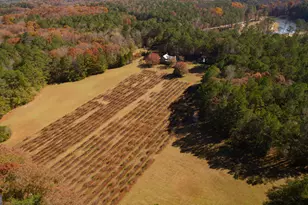 4621 Hwy 34 W, Newnan, GA 30263 - Photo 32