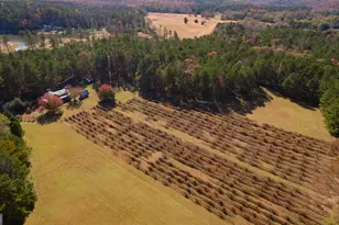 4621 Hwy 34 W, Newnan, GA 30263 - Photo 2