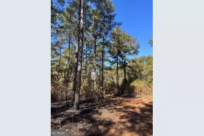 131 W Drummond Road, West Point, GA 31833 - Photo 4