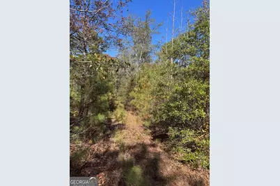 143 W Drummond Road, West Point, GA 31833 - Photo 2