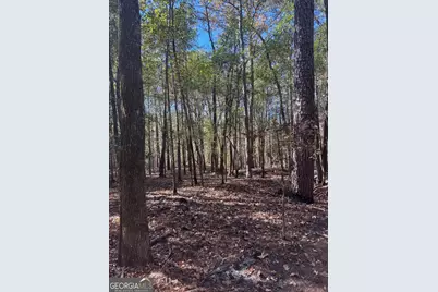 157 W Drummond Road, West Point, GA 31833 - Photo 2