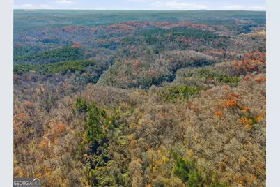 0 Lower Dowda Mill Road, Jasper, GA 30143 - Photo 12