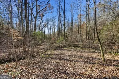 0 Lower Dowda Mill Road, Jasper, GA 30143 - Photo 26