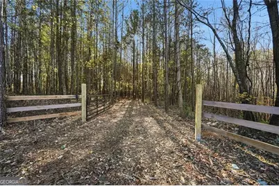 0 Lower Dowda Mill Road, Jasper, GA 30143 - Photo 6