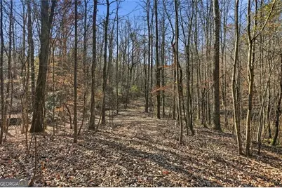 0 Lower Dowda Mill Road, Jasper, GA 30143 - Photo 22