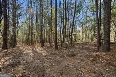 0 Lower Dowda Mill Road, Jasper, GA 30143 - Photo 20