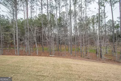 Lot 76 Atlantica Drive, Newnan, GA 30263 - Photo 42