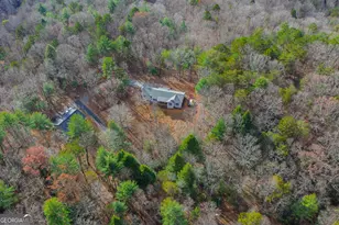 607 Satsuma Ct S, Ellijay, GA 30536 - Photo 24