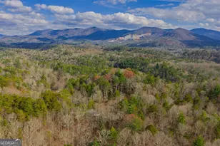 607 Satsuma Ct S, Ellijay, GA 30536 - Photo 38