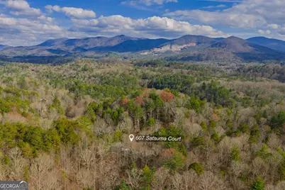 607 Satsuma Court S #673, Ellijay, GA 30536 - Photo 34