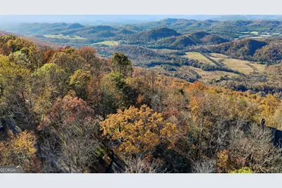 141 Brow Lake Road, Lookout Mountain, GA 30750 - Photo 58