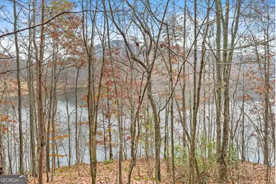 0 South Laceola Road, Cleveland, GA 30528 - Photo 32