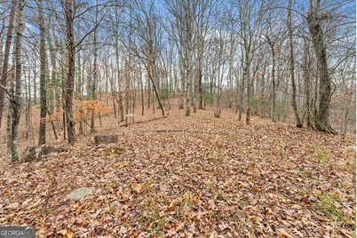 0 South Laceola Road, Cleveland, GA 30528 - Photo 40