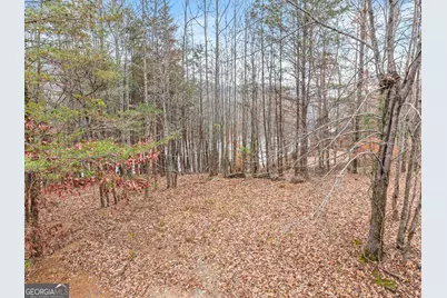 0 South Laceola Road, Cleveland, GA 30528 - Photo 2