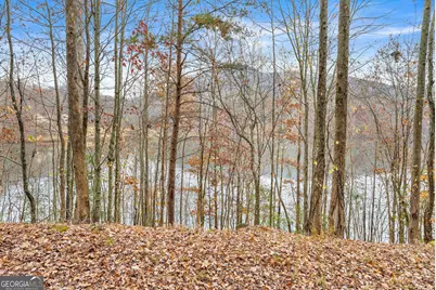 0 South Laceola Road, Cleveland, GA 30528 - Photo 30