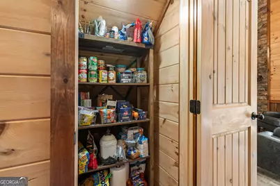 19 Chestnut Hills Lane, Blue Ridge, GA 30513 - Photo 16