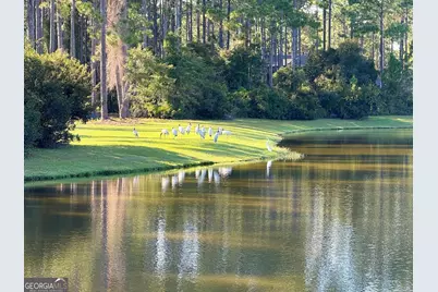 209 Placid Road, Saint Marys, GA 31558 - Photo 2