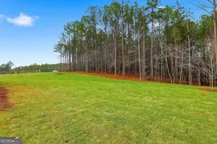 337 Atlantica Dr, Newnan, GA 30263 - Photo 52