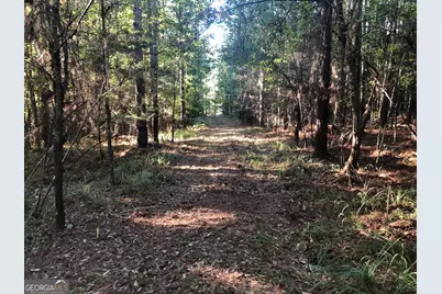 Lot 10 Triune Mill Road, Thomaston, GA 30286 - Photo 4