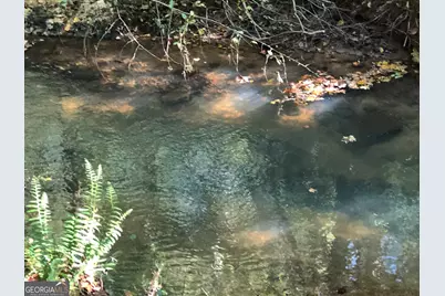 Lot 10 Triune Mill Road, Thomaston, GA 30286 - Photo 30