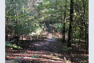 Lot 10 Triune Mill Road, Thomaston, GA 30286 - Photo 18