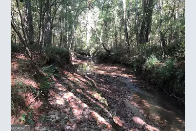 Lot 10 Triune Mill Road, Thomaston, GA 30286 - Photo 24