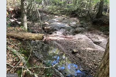 Lot 10 Triune Mill Road, Thomaston, GA 30286 - Photo 28