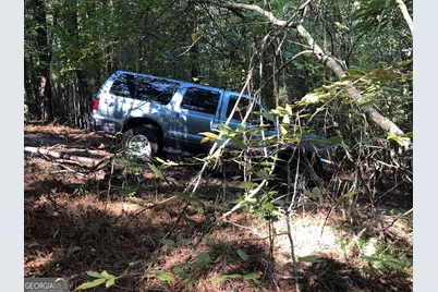 Lot 10 Triune Mill Road, Thomaston, GA 30286 - Photo 16